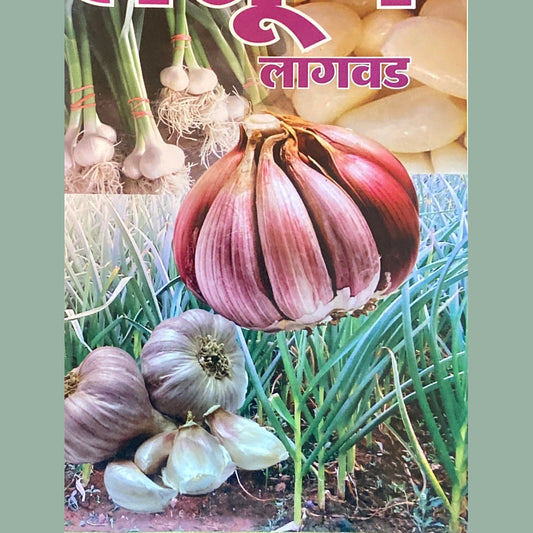 Lasoon Lagwad by V G Raul