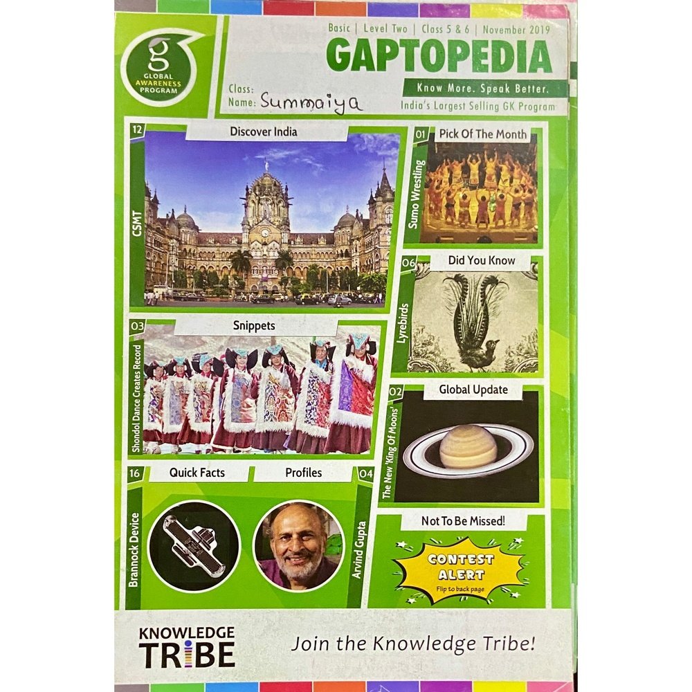 Gaptopedia Nov 2019
