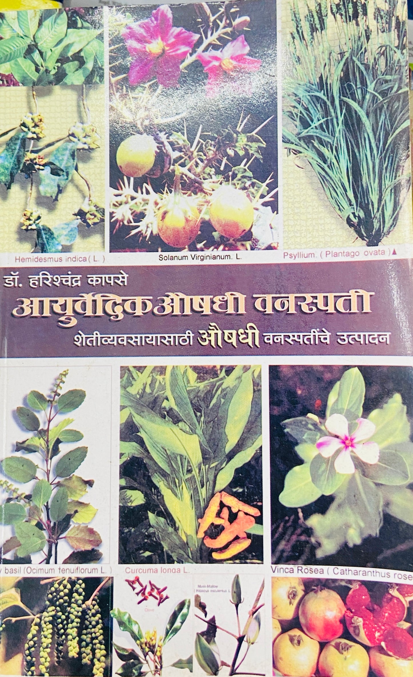 Ayurvedic Aushadhi Vanaspati by Dr Harishchandra Kapse
