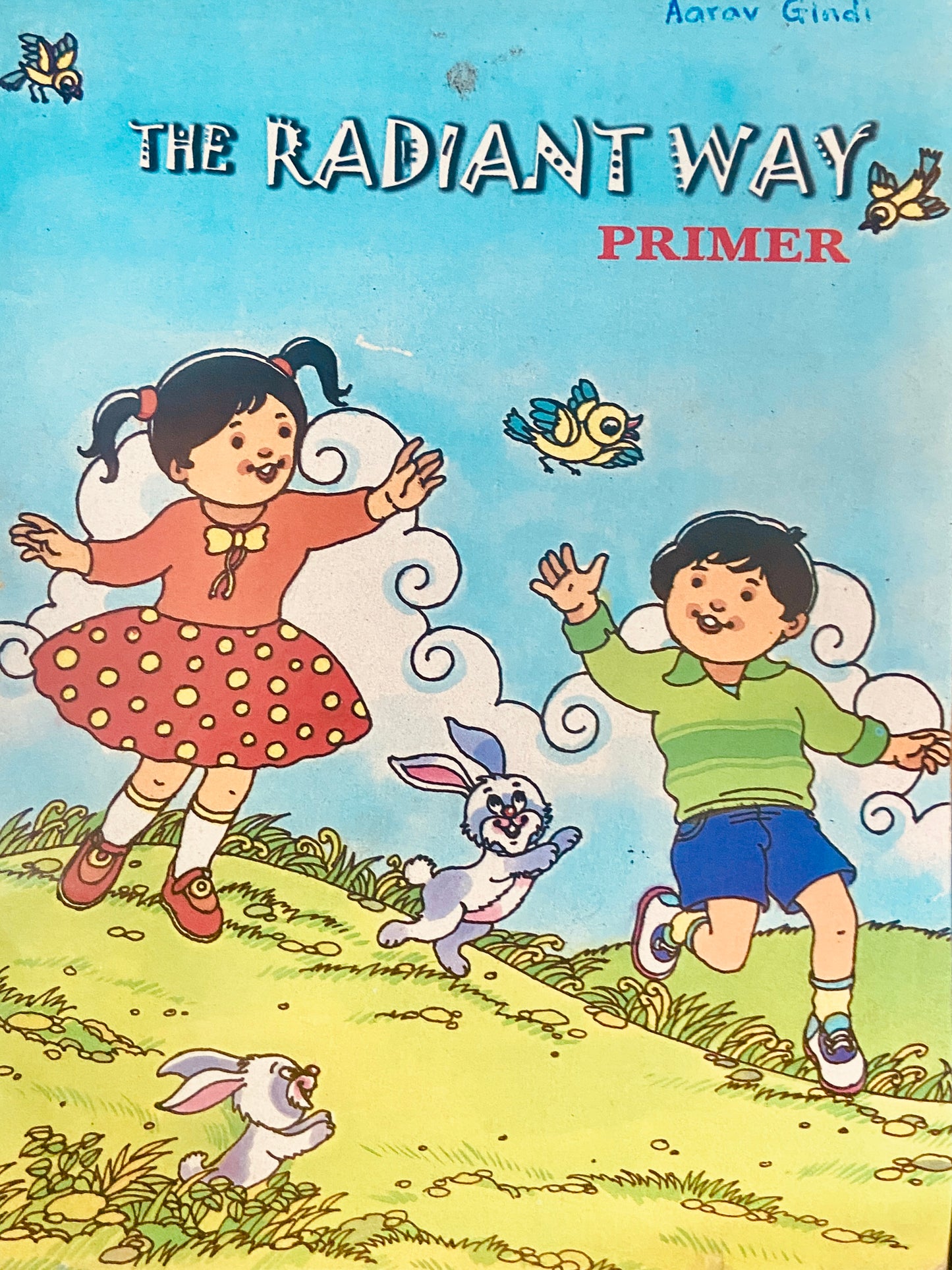 The Radiant Way Primer