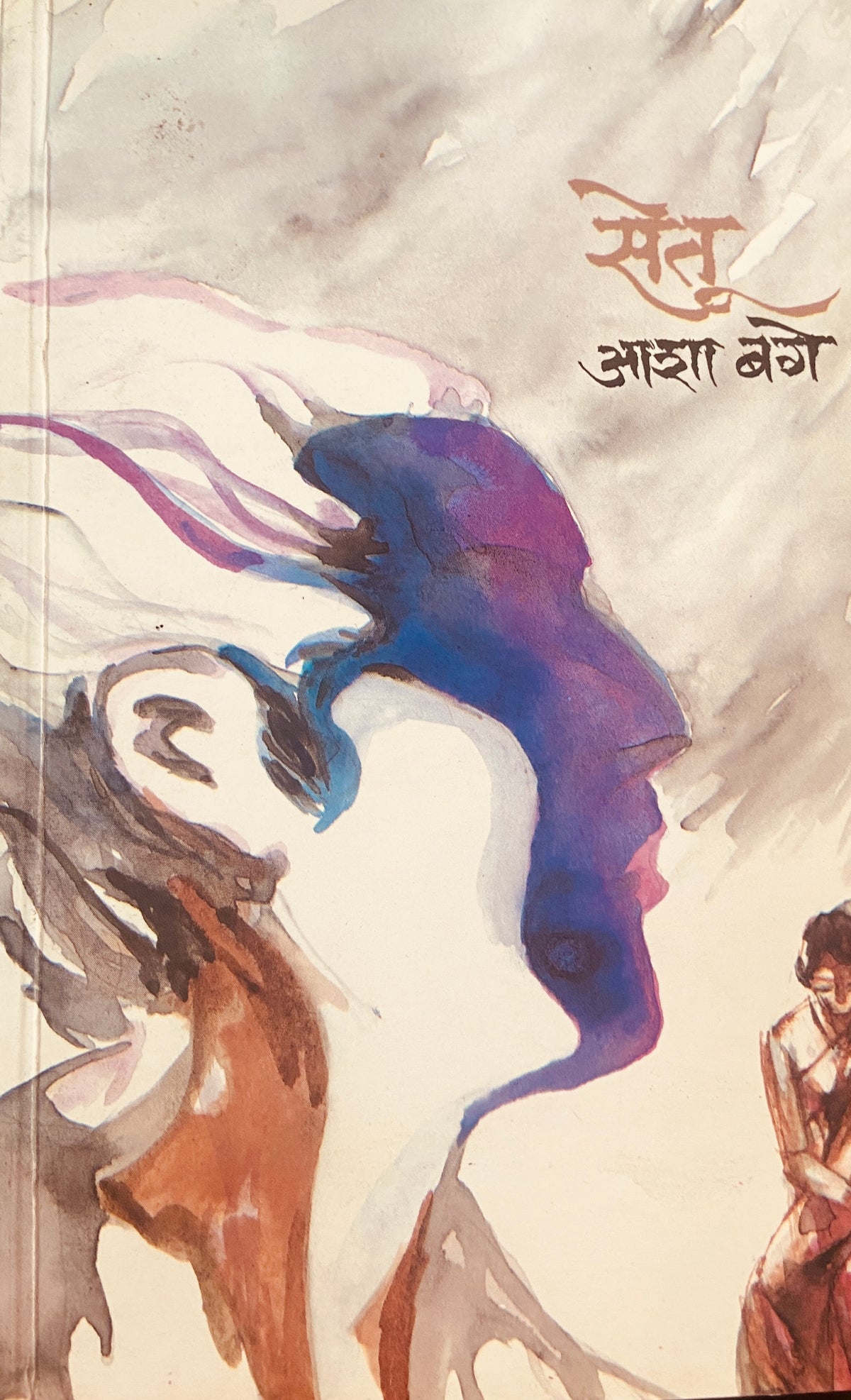 Setu by Asha Bage