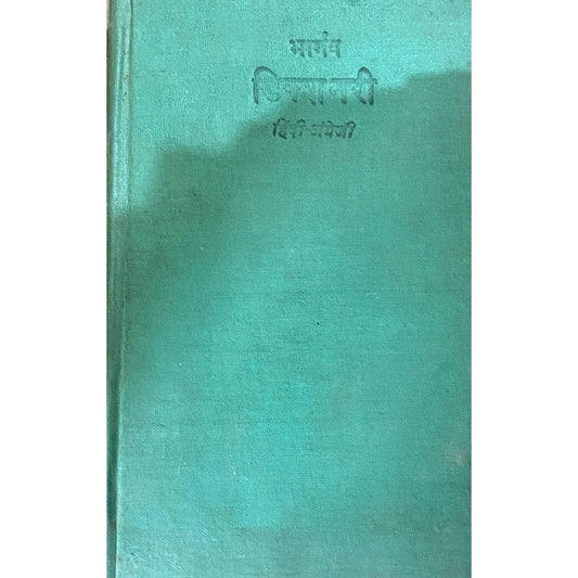 Bhargav Dictionary Hindi English by Prof R C Pathak