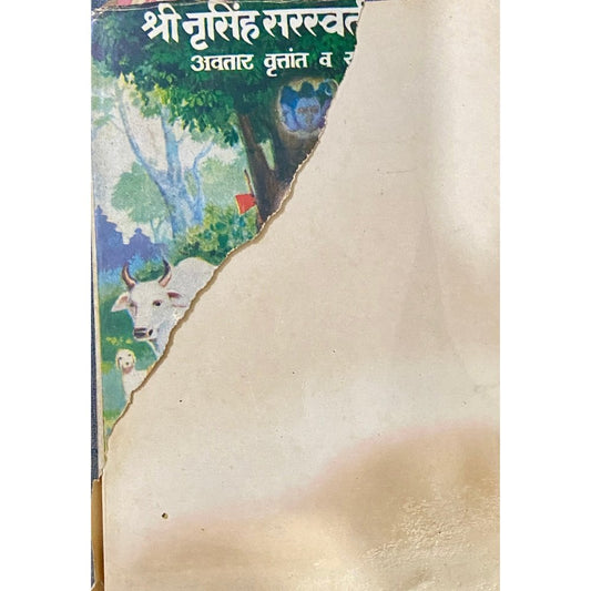 Shree Nrusinh Saraswati Avataar, Vruttant Va Sagunopasana