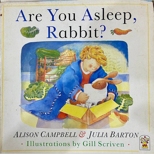 Are You Asleep, Rabbit? by Alison Campbell