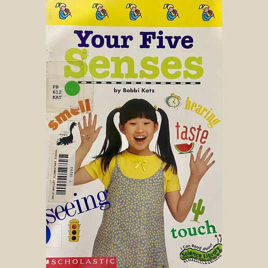 Your Five Senses by Bobbi Katz
