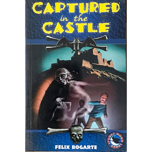 Captured in the Castle by Felix Bogarte
