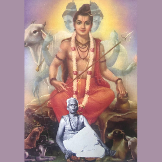 Shree Babasaheb Nigudkar Maharaj Charitra