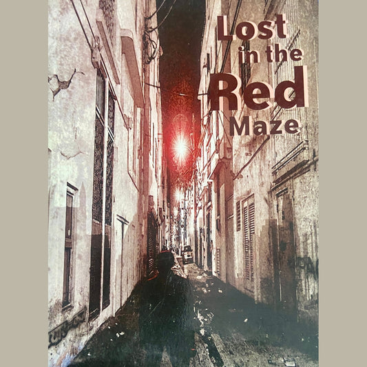 Lost in The red Maze by Sameer Khan