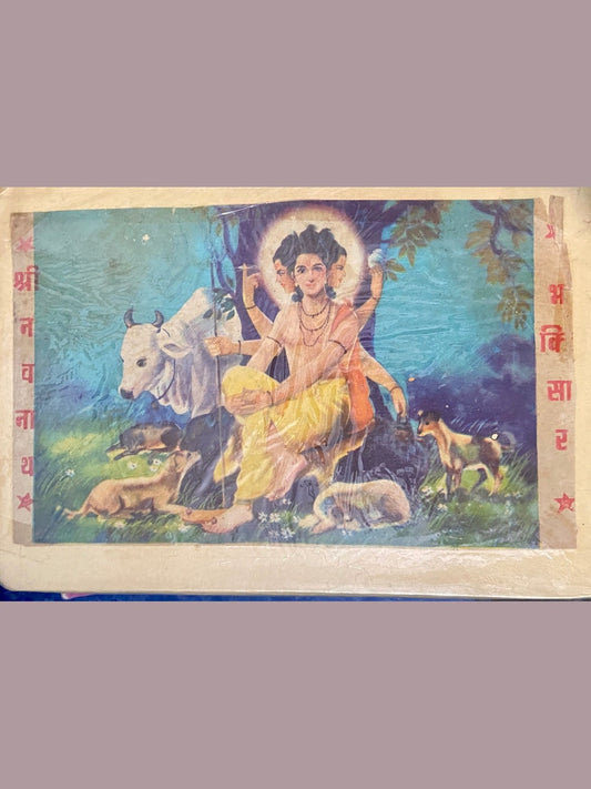 Shree Navnath Bhakti Vijay