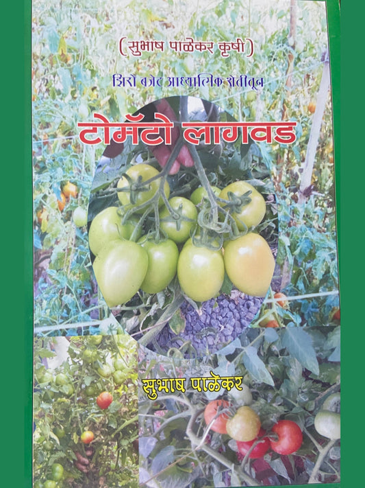 Tomato Lagwad by Subhash Palekar