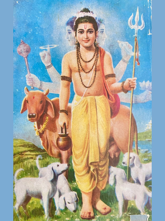 Subodh Shreegurucharitra by S N Huddar