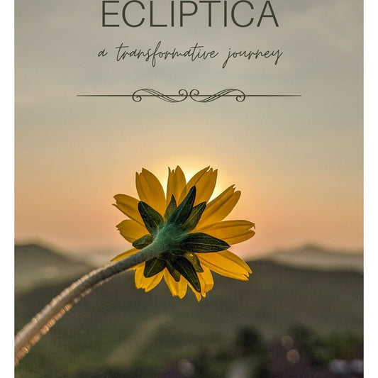 Ecliptica - A Transformative Journey by Adwait