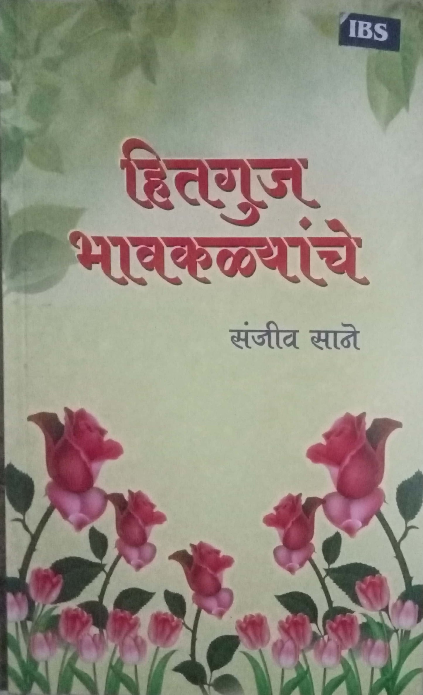 Hitguj Bhavkalyanche by Sanjeev Sane