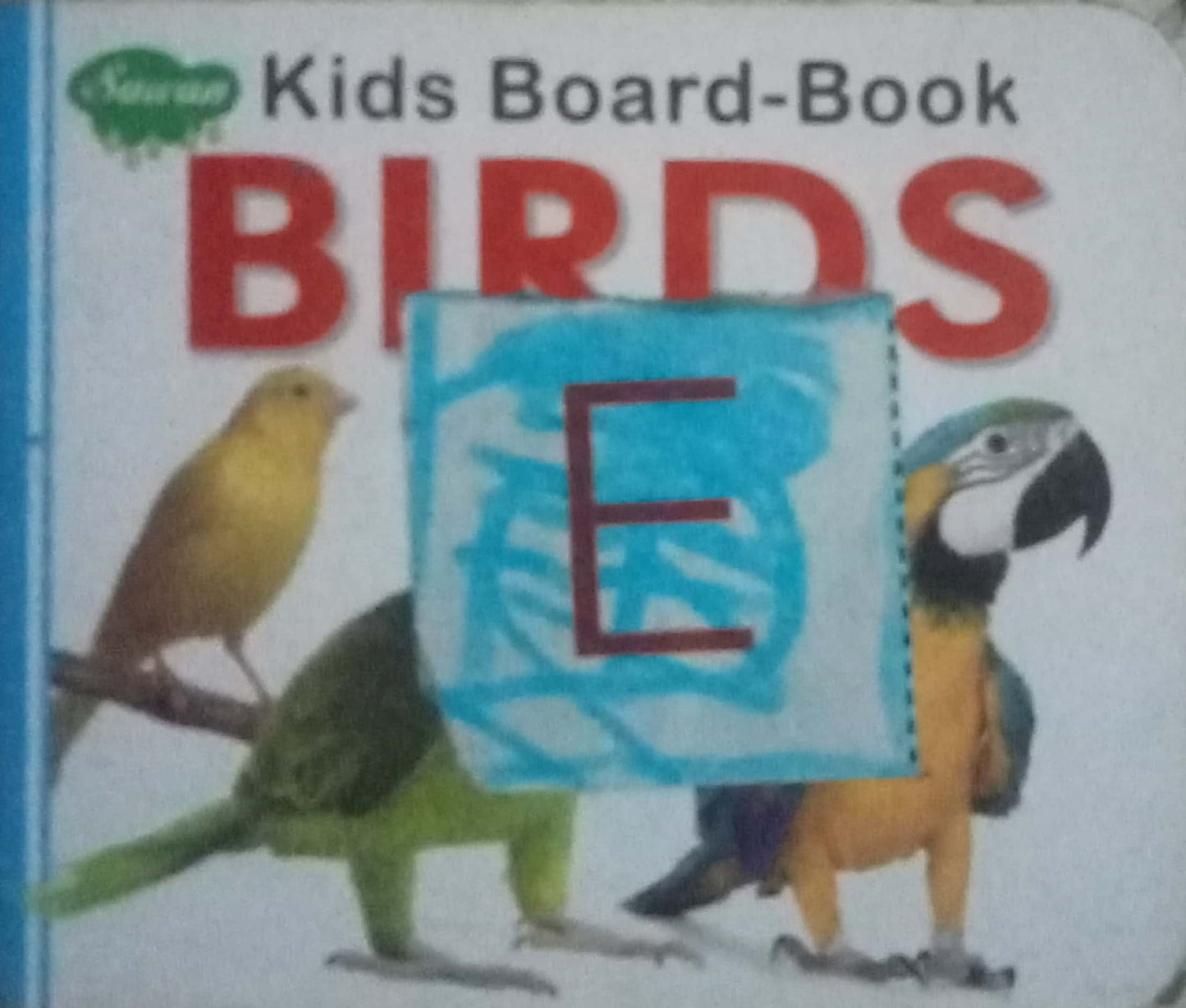 Birds