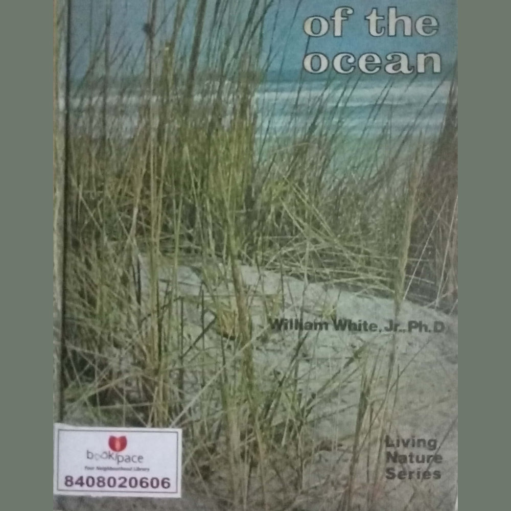 Edge Of The Ocean by William White