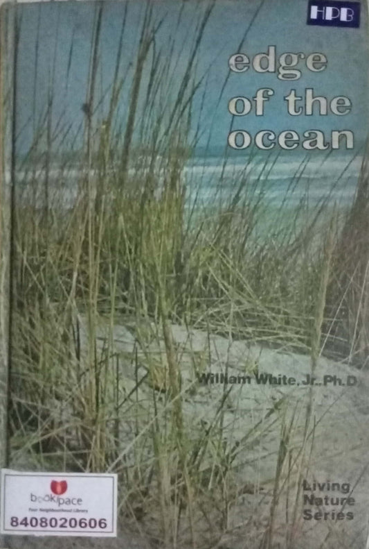 Edge Of The Ocean by William White