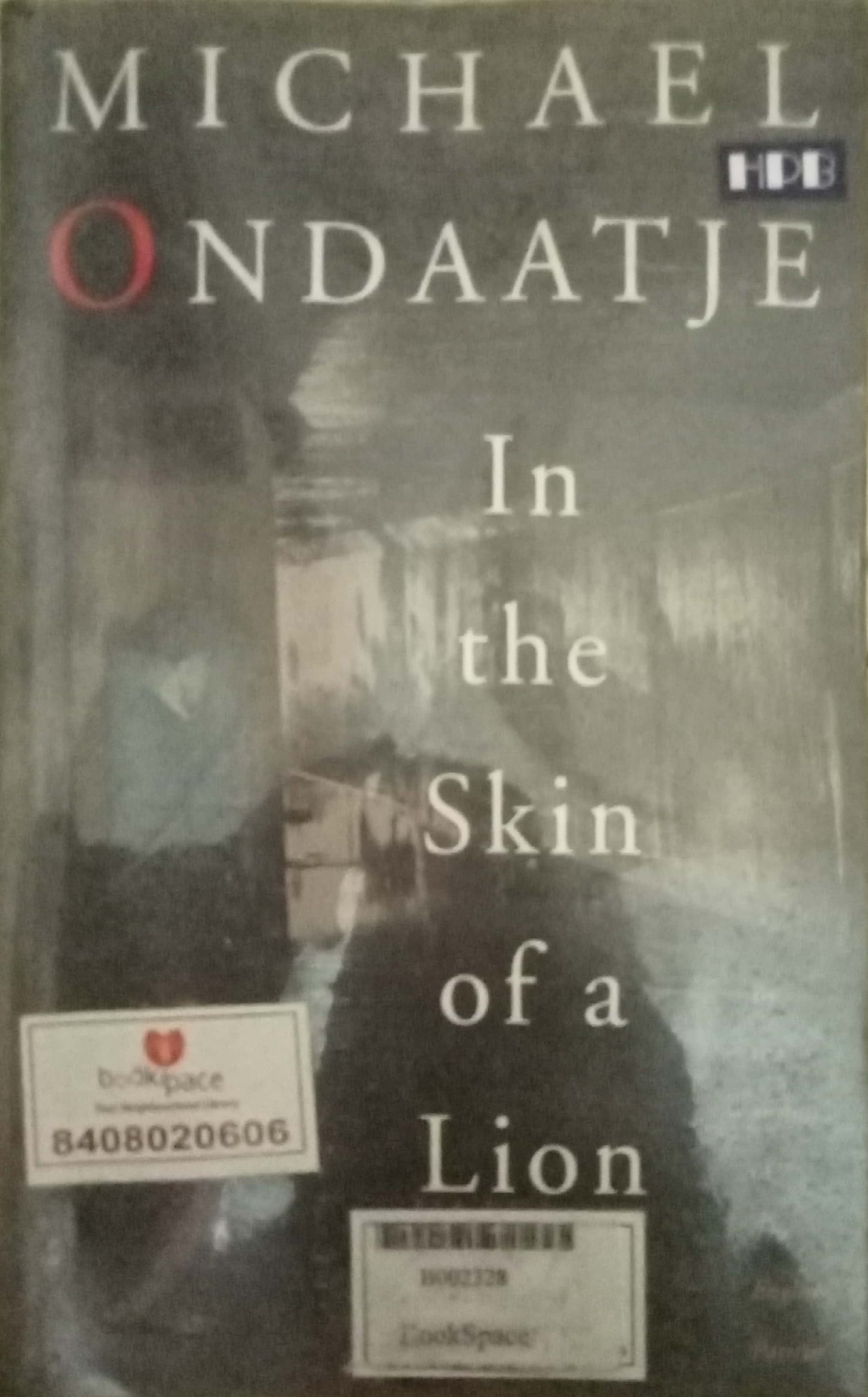 In The Skin Of A Lion by Michael Ondaatje