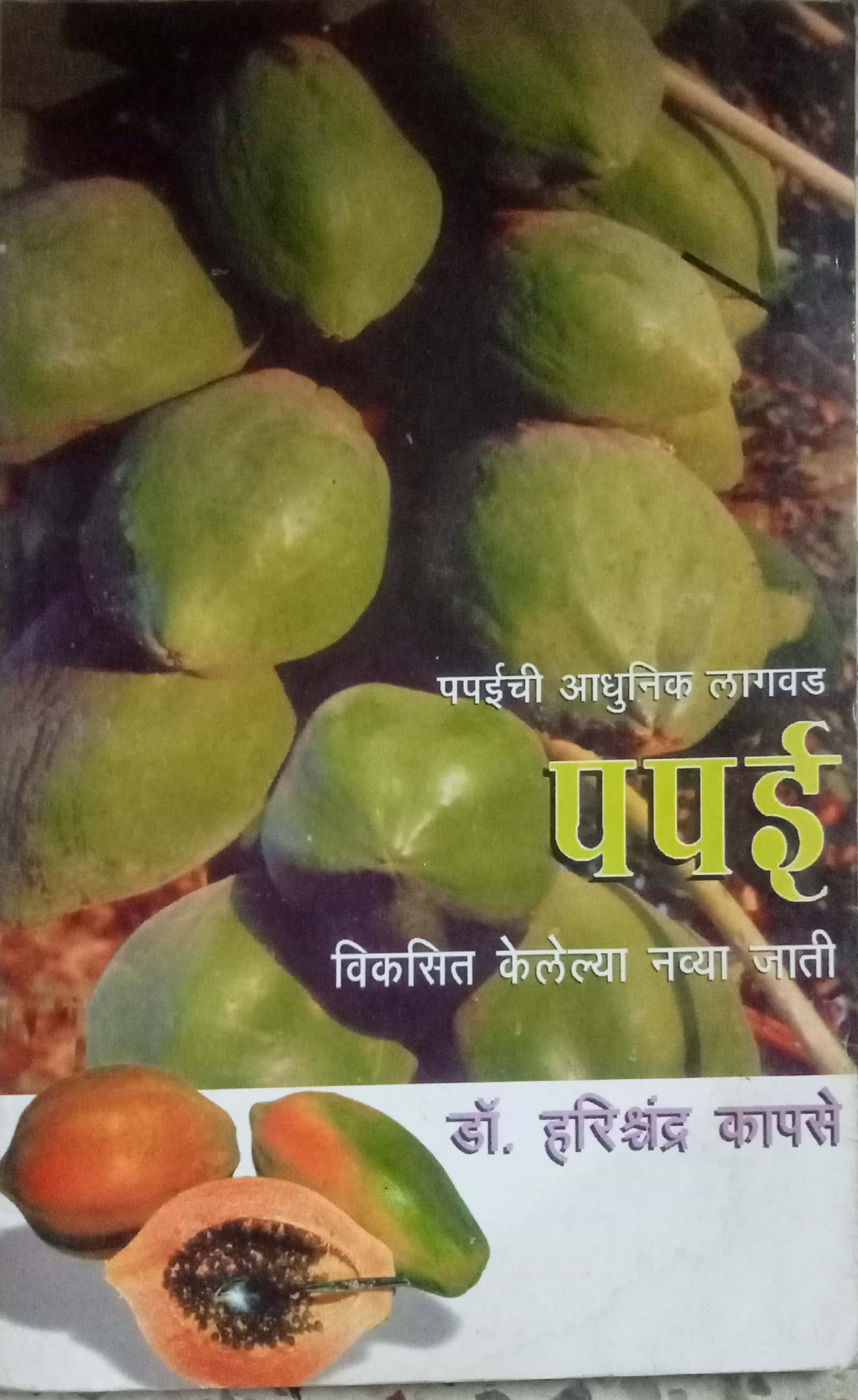 Papai by Dr. Harishchandra Kapase