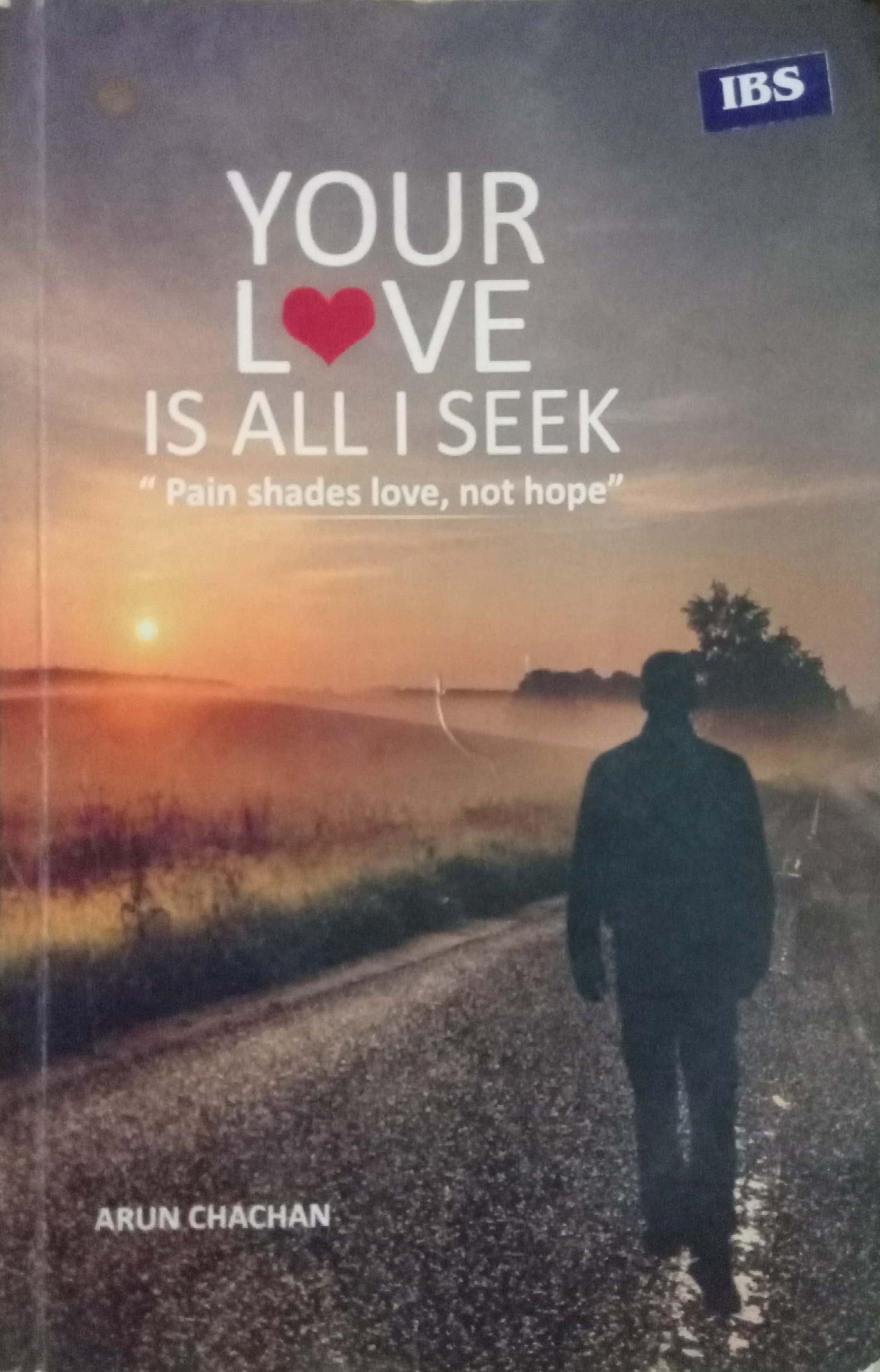 Your Love Is All I Seek by Arun Chachan