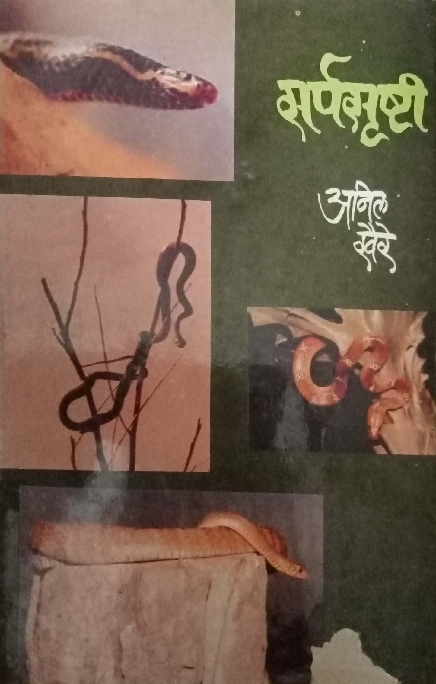 Sarpasrushti by Anil Khere