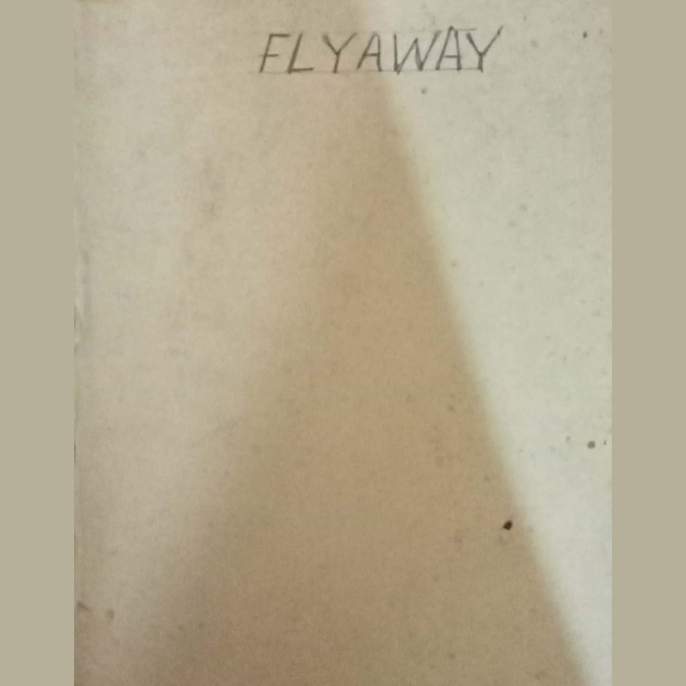 Flyaway by Desmond Bagley
