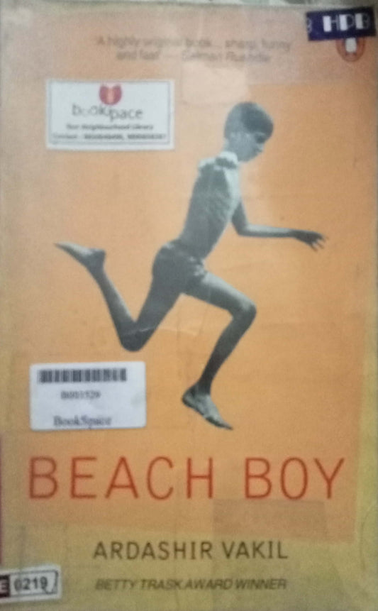 Beach Boy by Ardashir Vakil