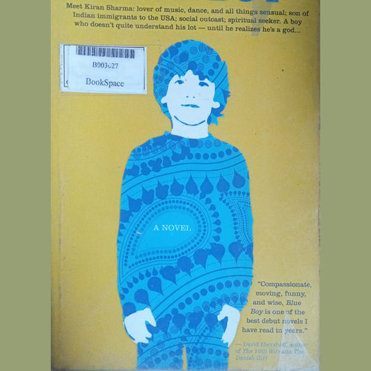 Blue Boy by Rakesh Satyal