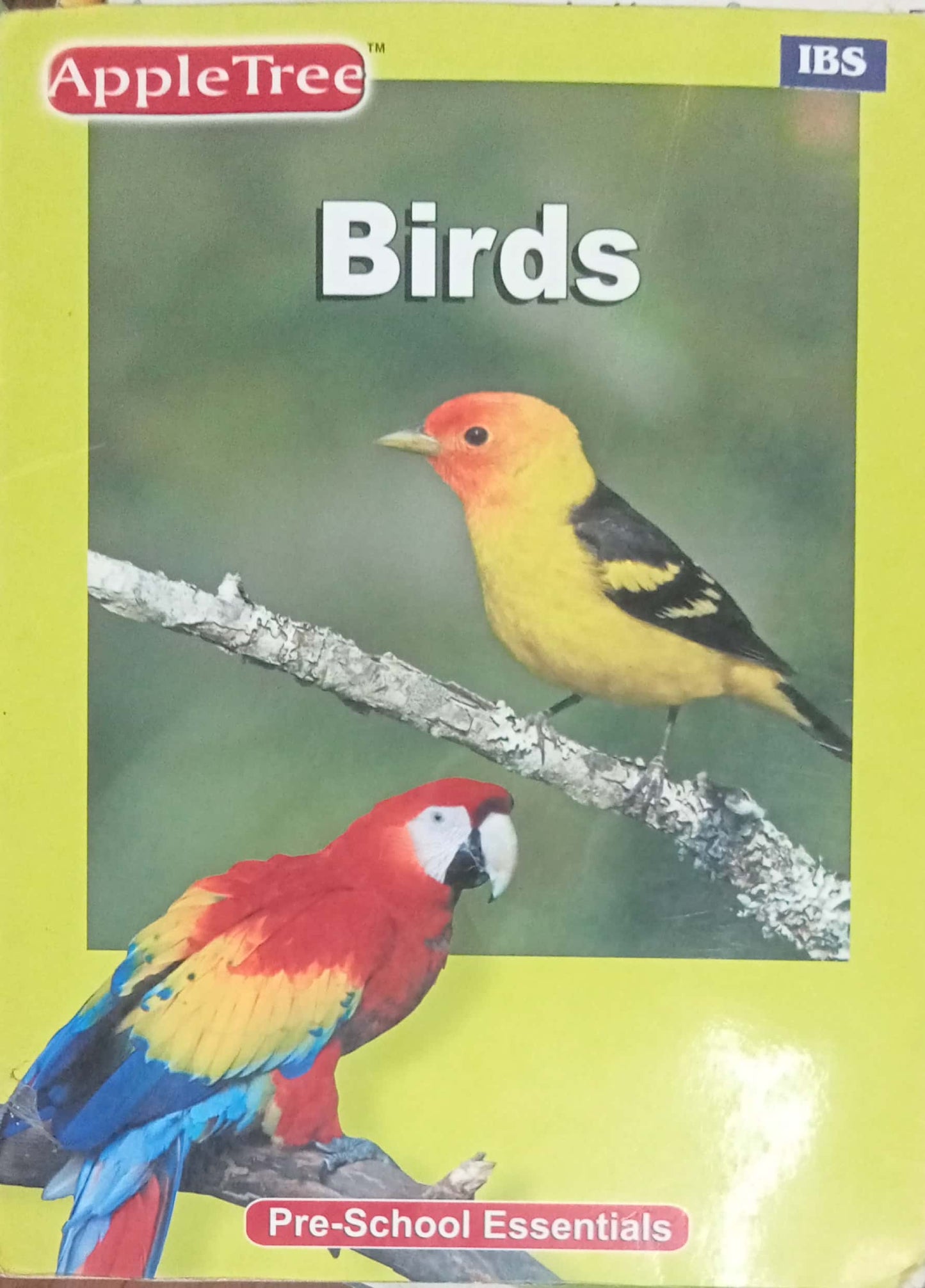 Birds (HDD)