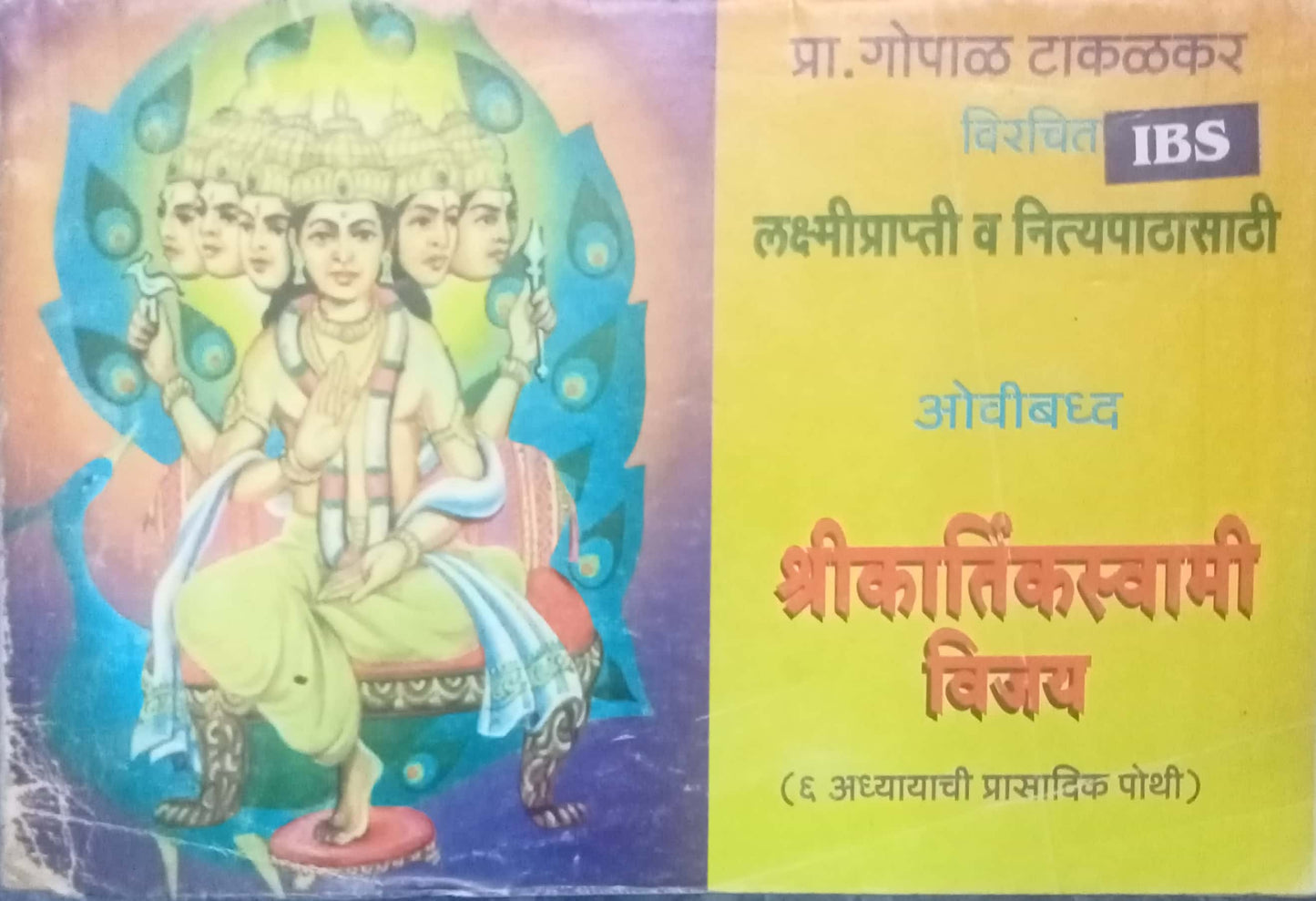 Shri Kartikswami Vijay