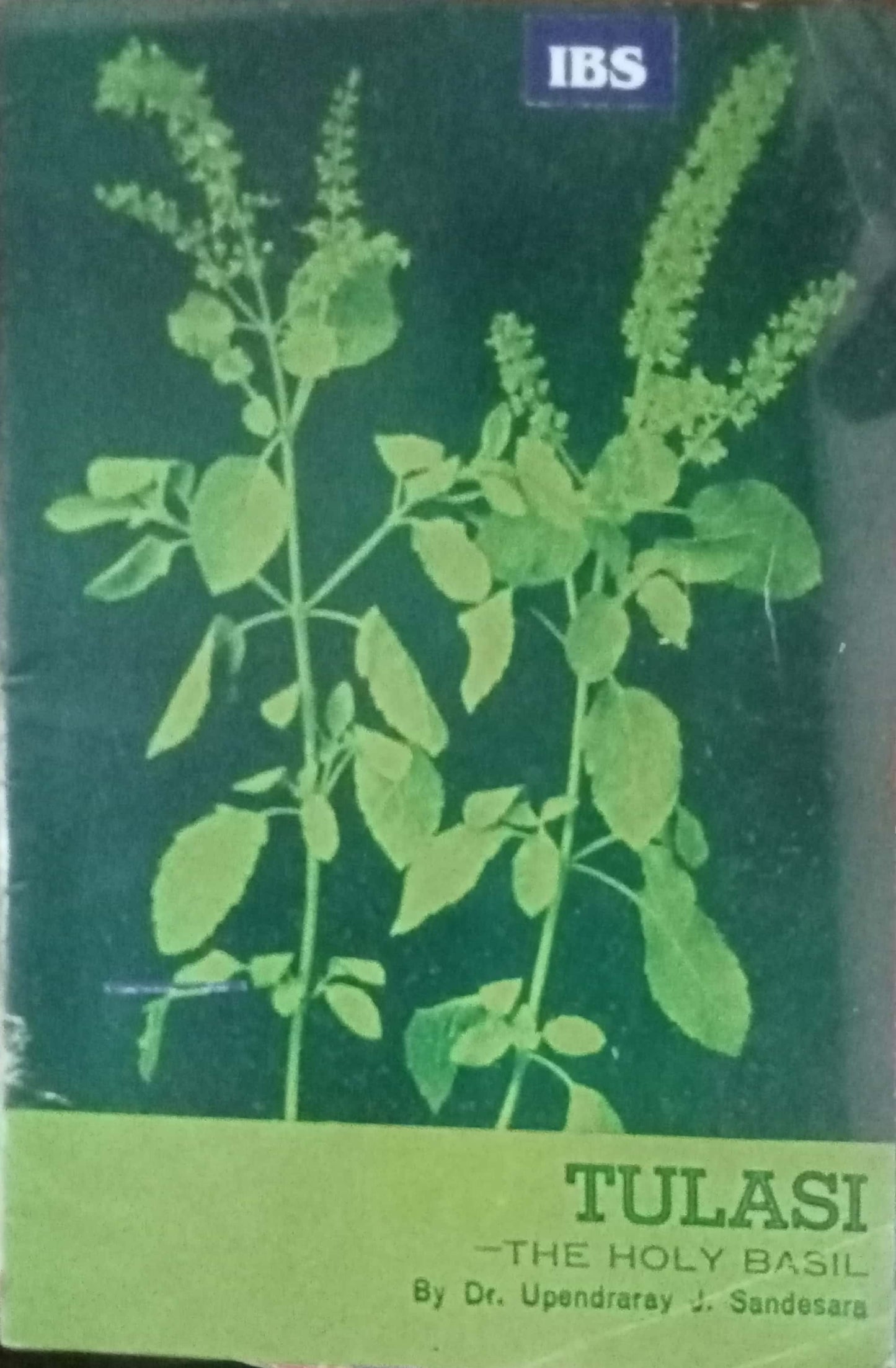 Tulasi by Upendra Sandesara