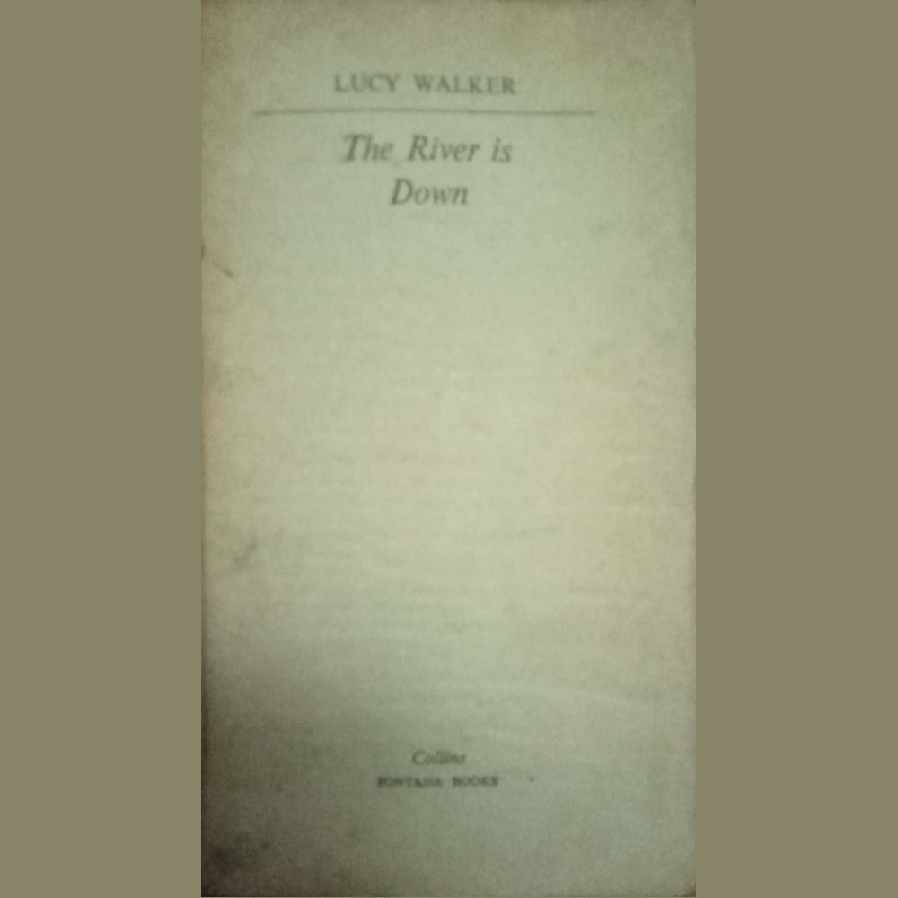 The RIver Is Down by Lucy Walker (No Cover)