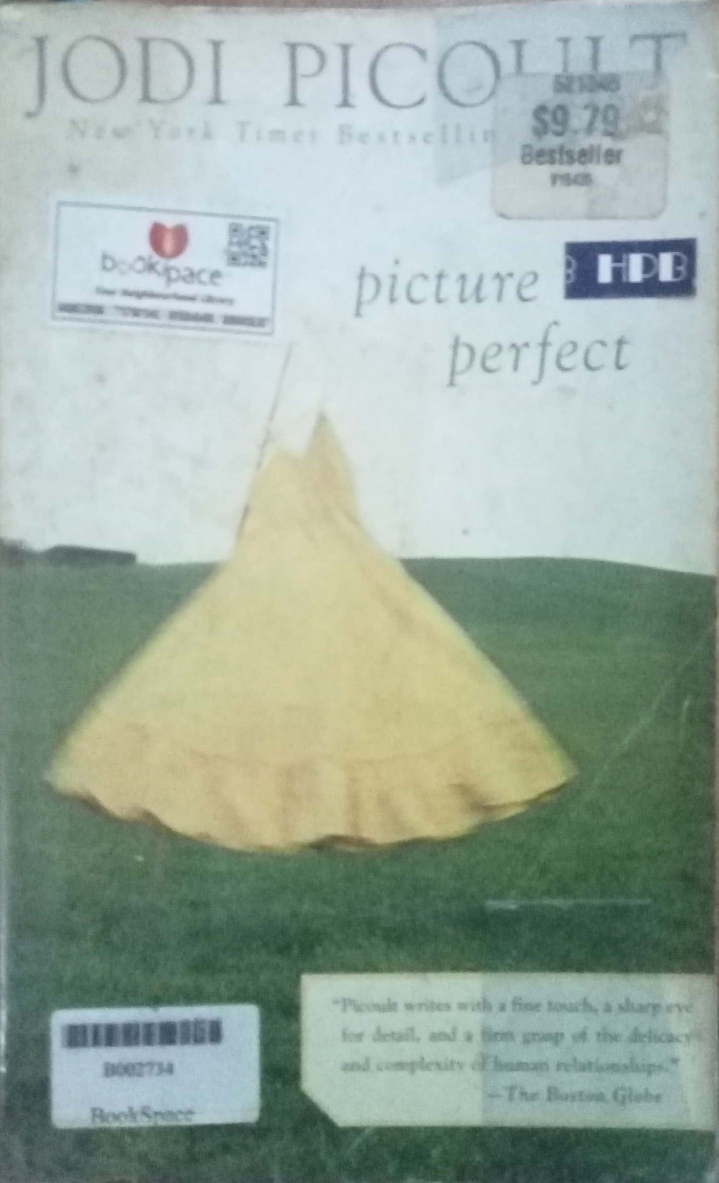 Picture Perfect by Jodi Picoult