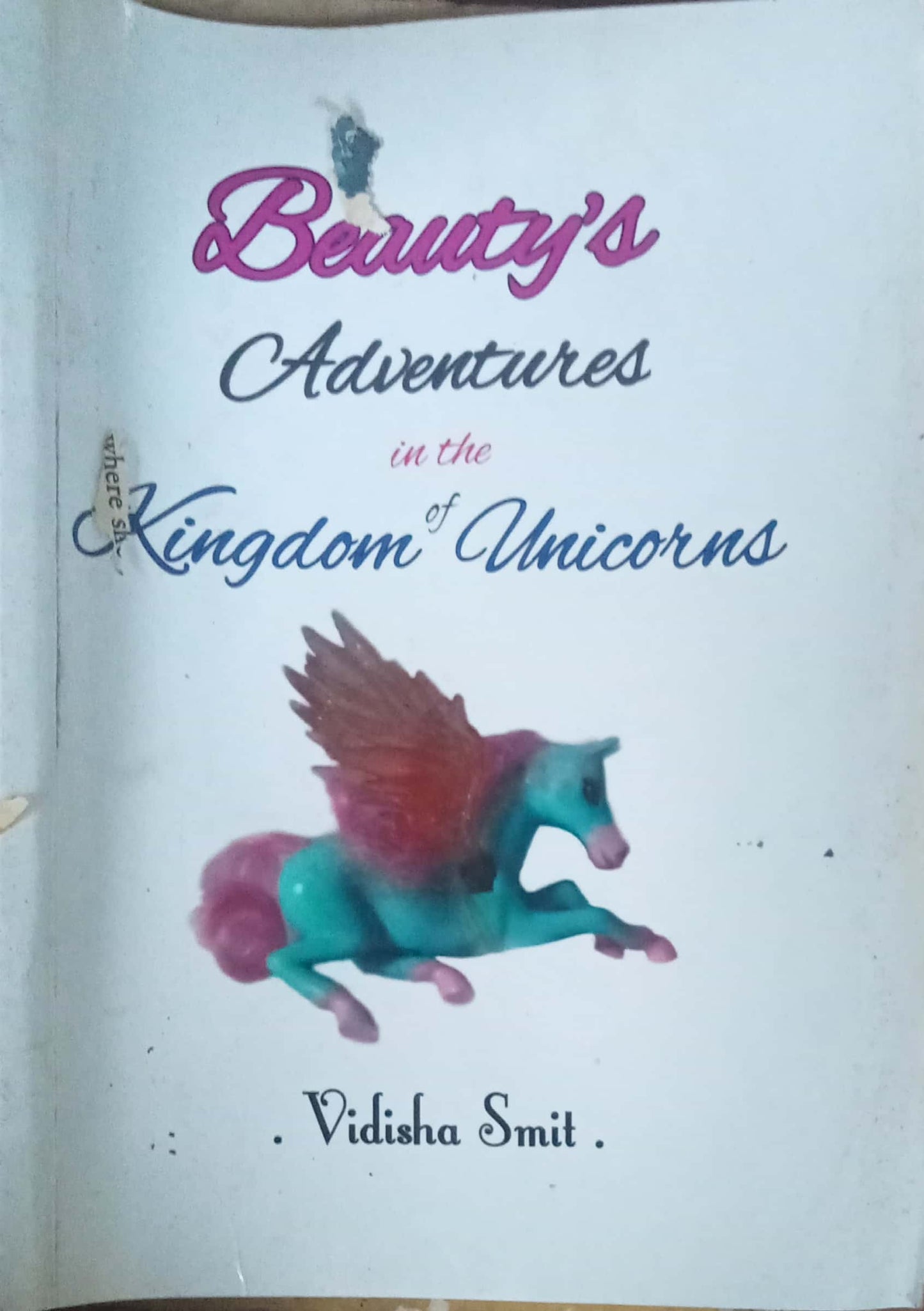 Beauty's Adventures in the Kingdom of Unicorns  by Vidisha Smit