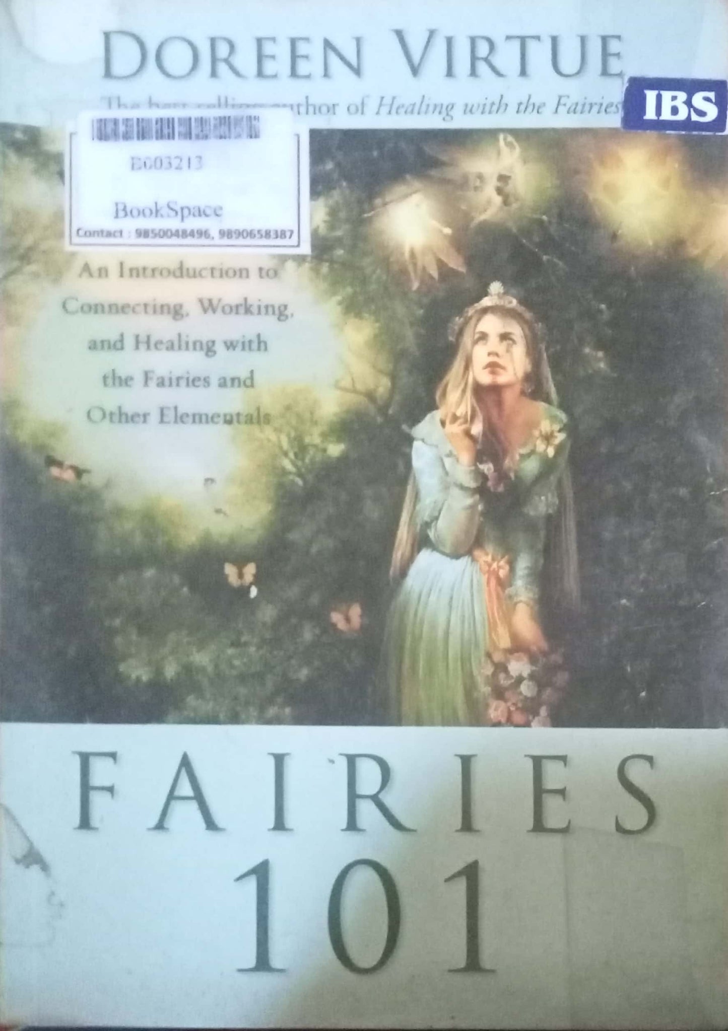 Fairies 101 by Doreen Virtue