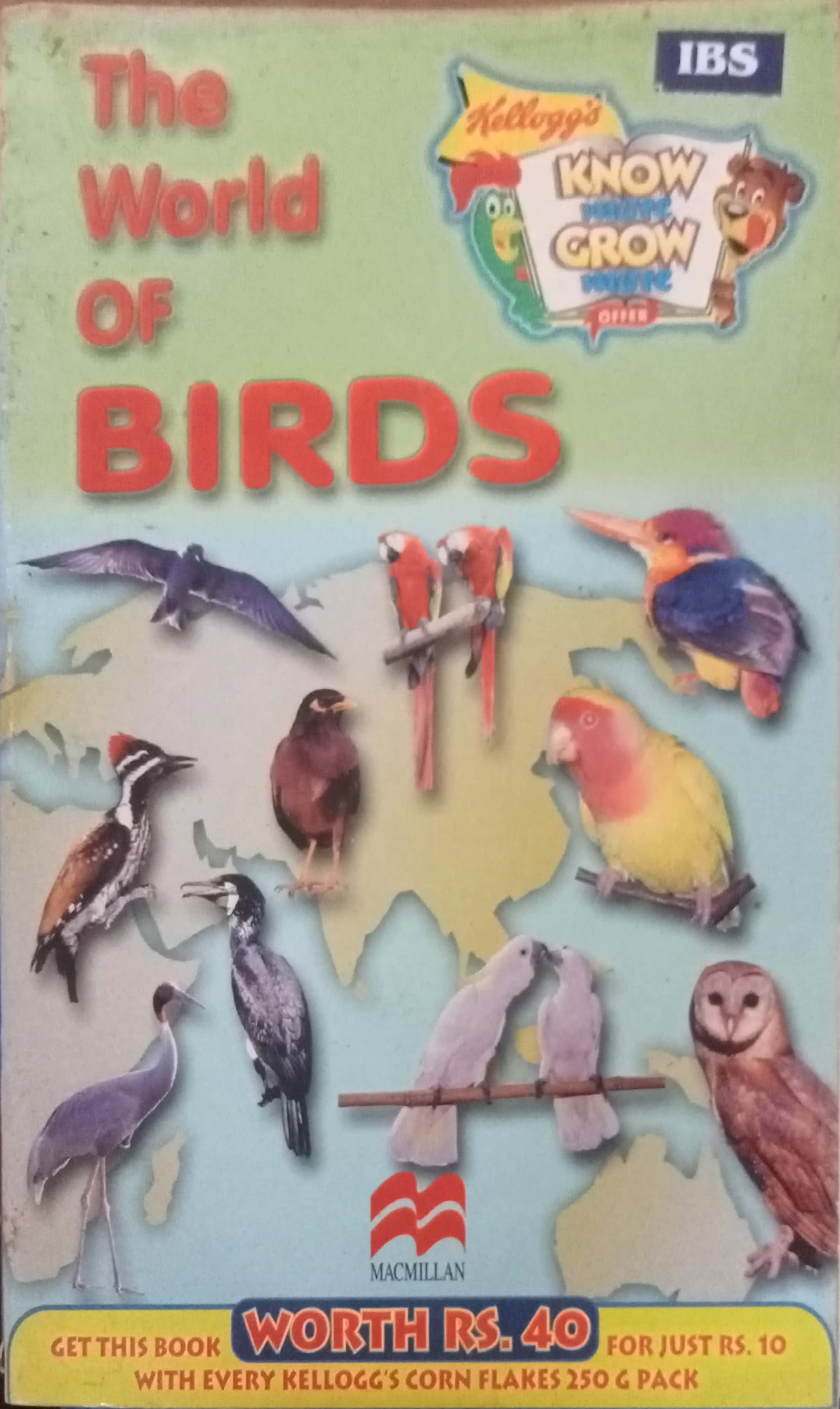 The World Of Birds