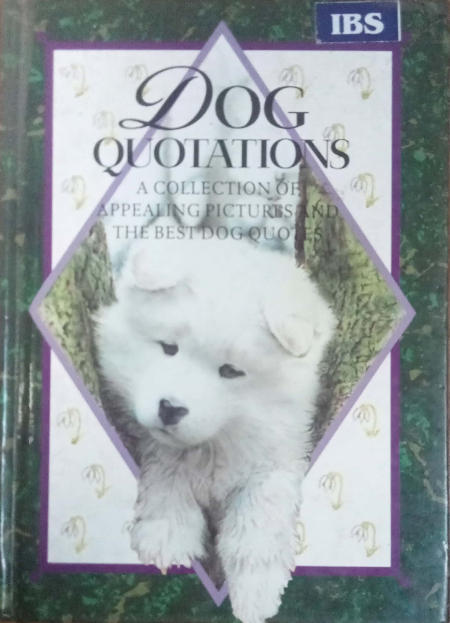 Dog Quotations