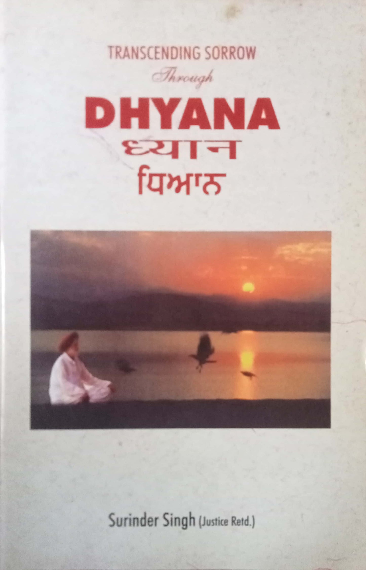 Dhyana by Surinder Singh