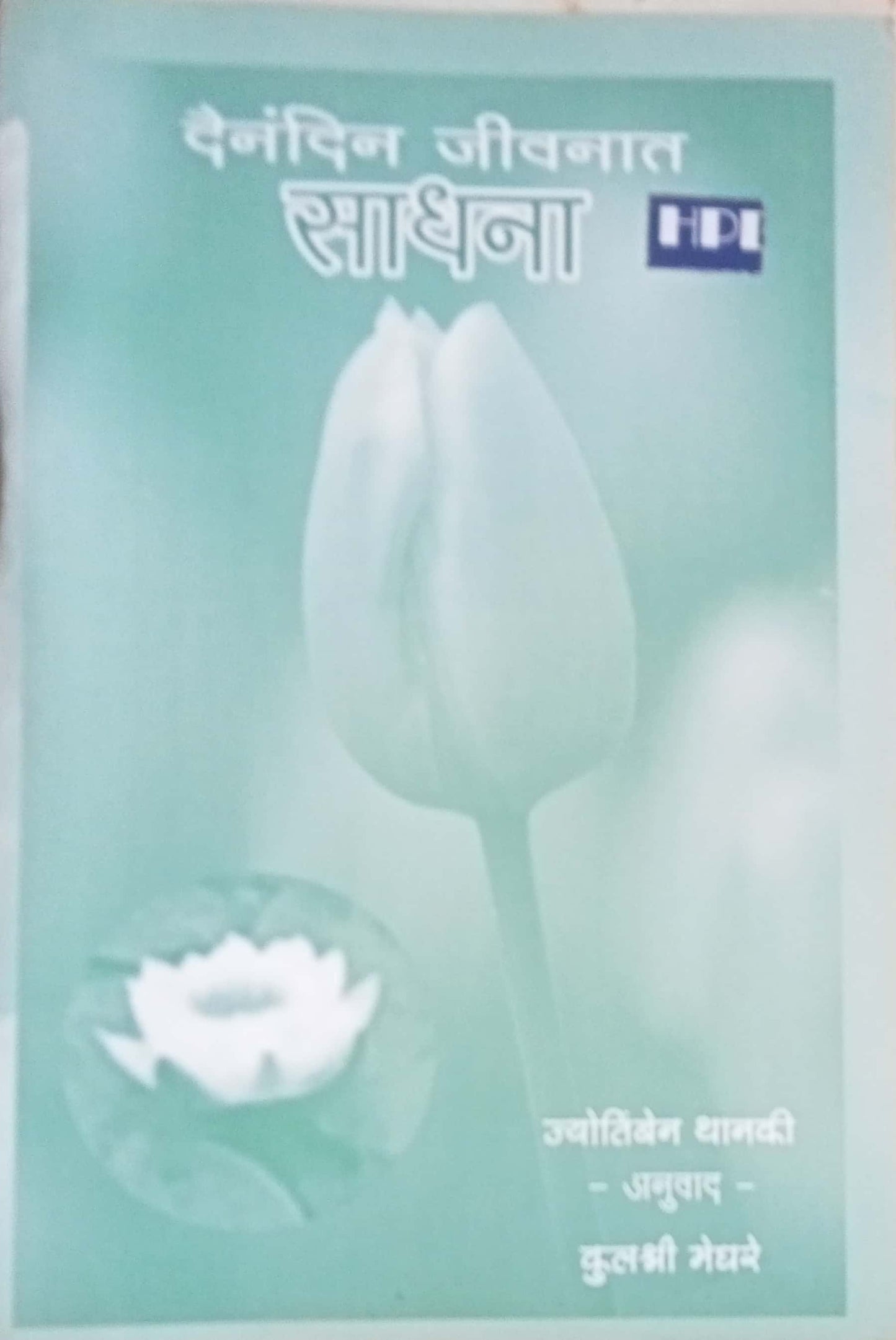 Daidandin Jeevanat Sadhana Kulashree Meghare
