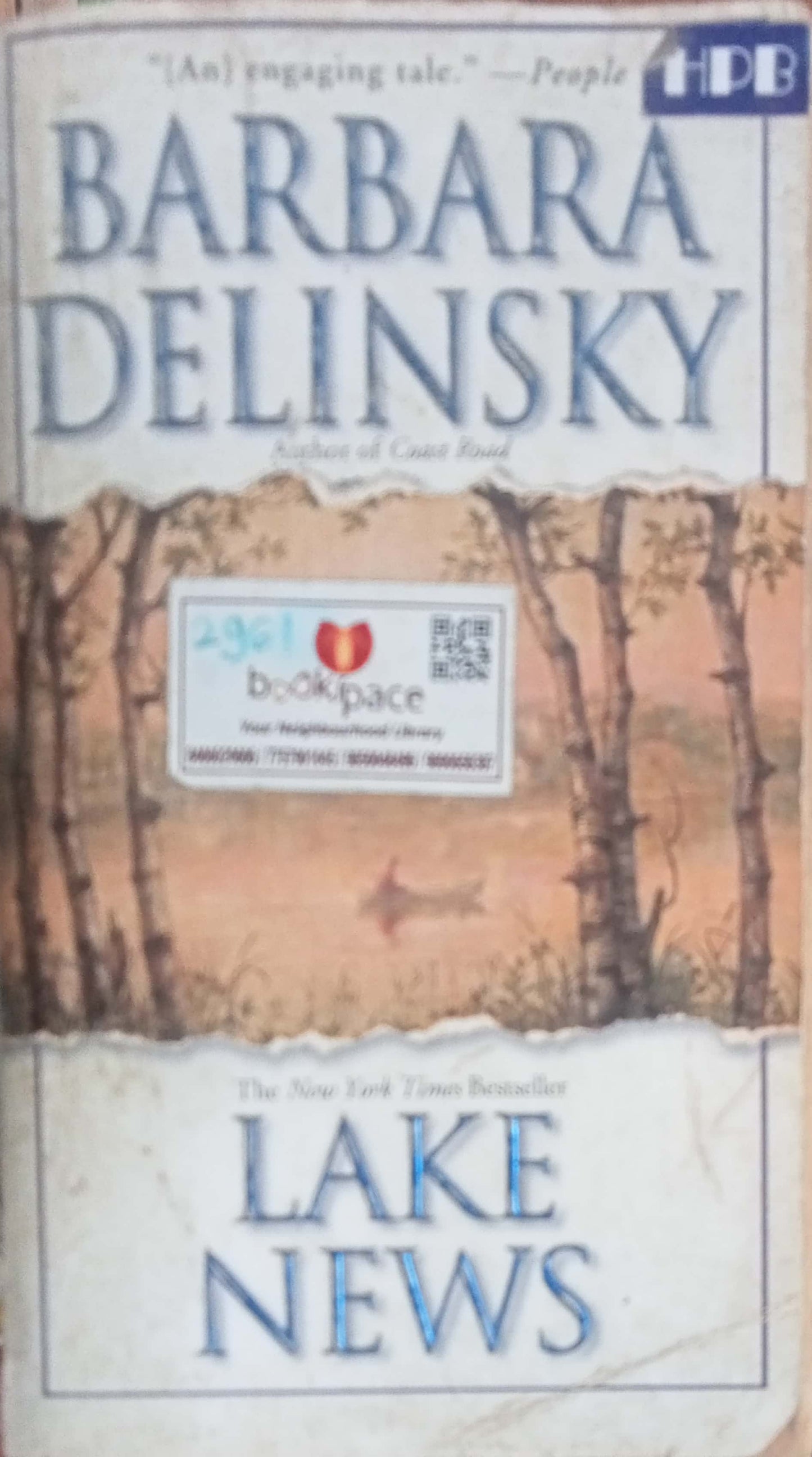 Lake News by Barbara Delinsky