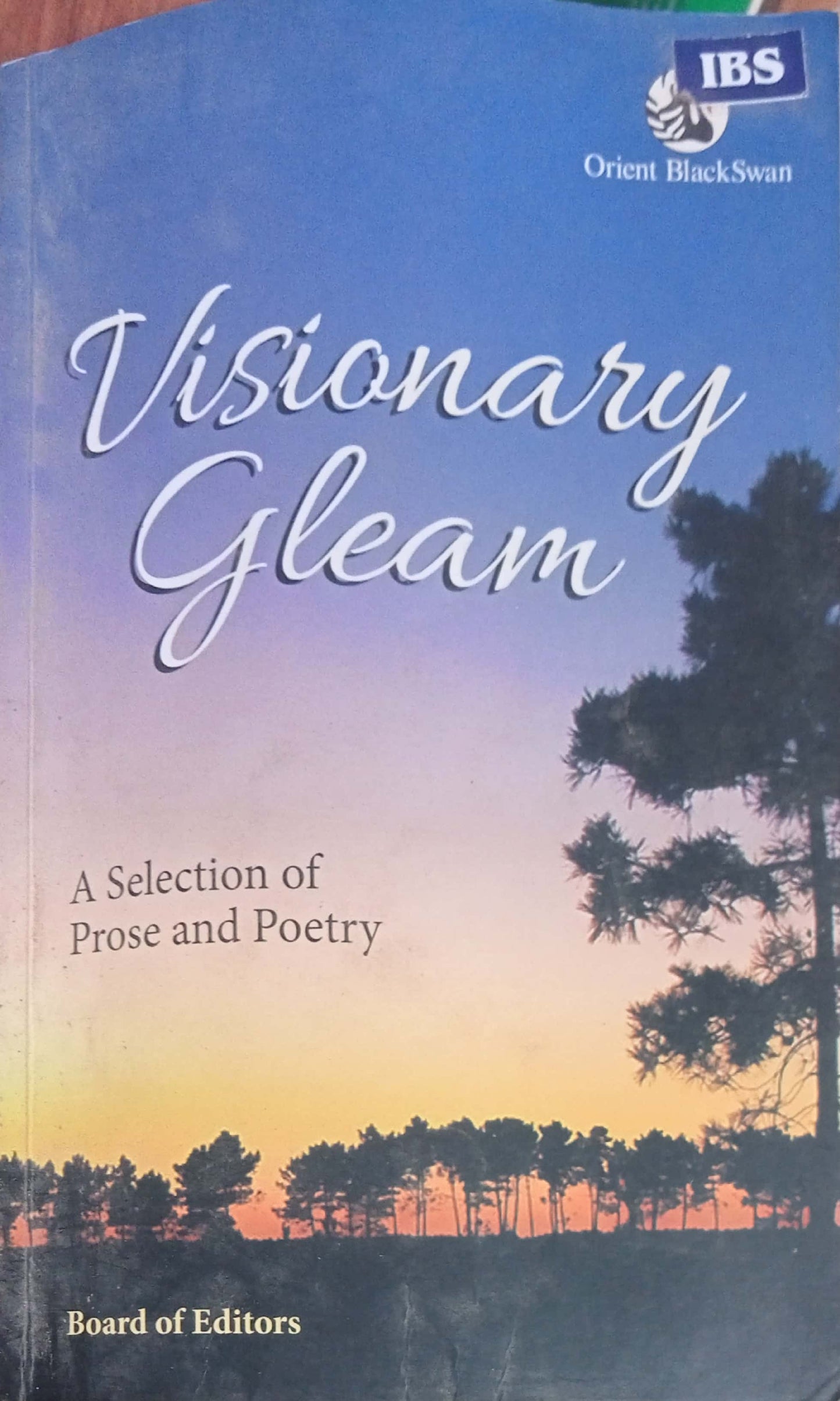 Visionary Gleam