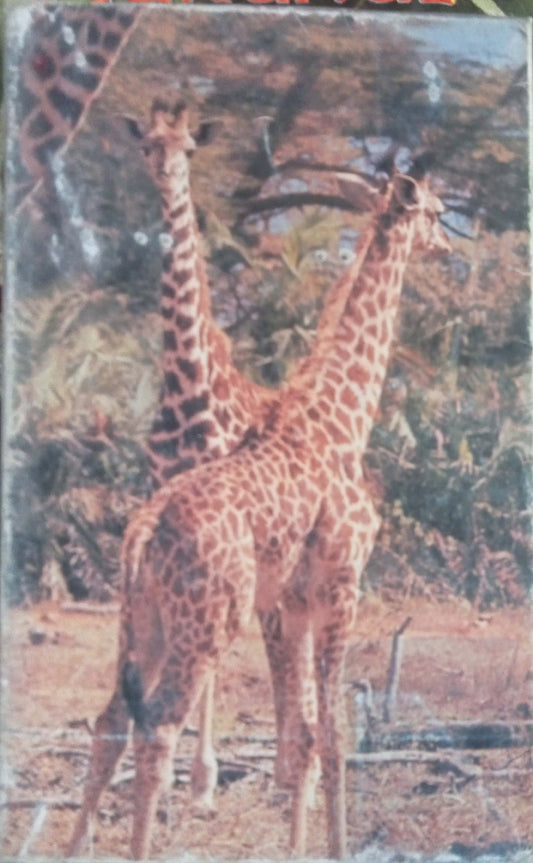 1000 Animal Quiz by Maneka Gandhi