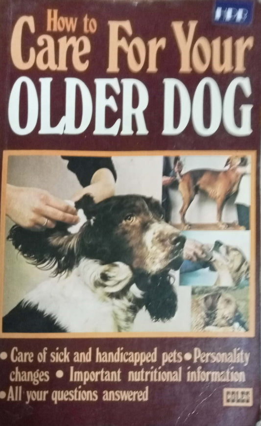 How To Care For Your Older Dog