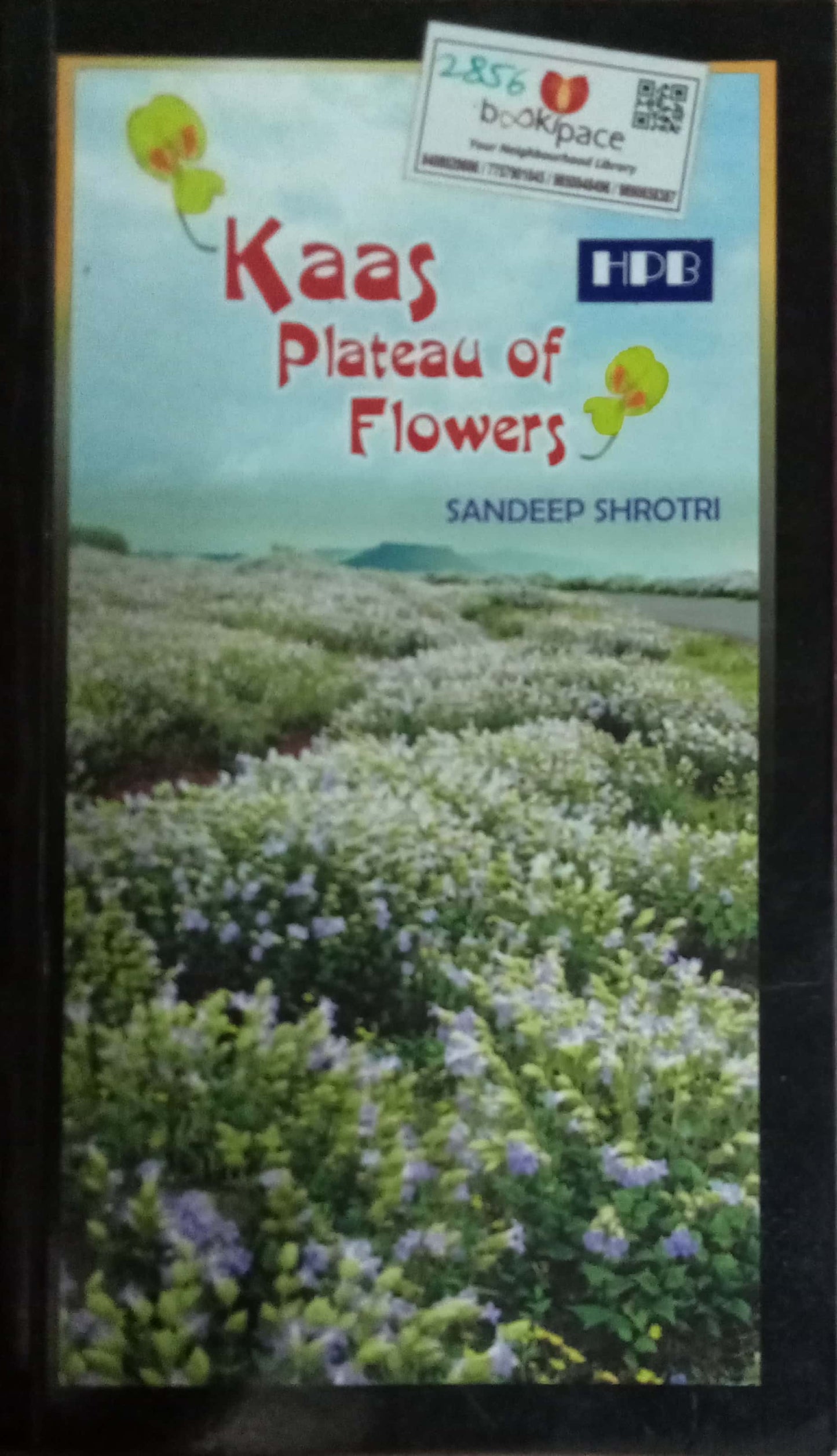 Kaas Plateau Flowers by Sandeep Shrotri