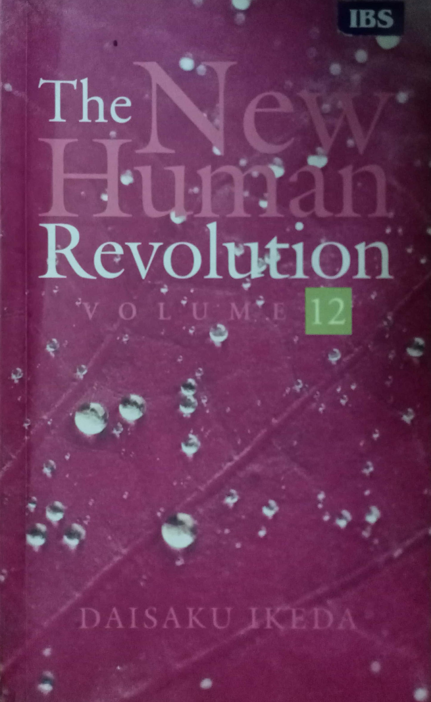 The New Human Revolution by Daisaku Ikeda