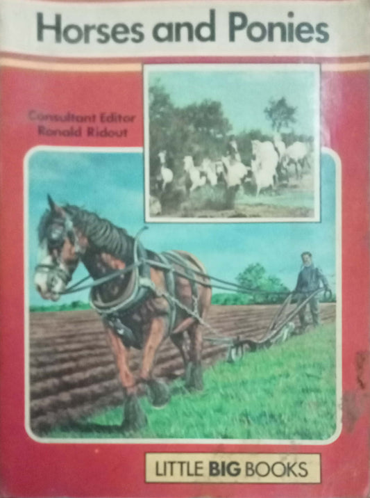 Hores And Ponies