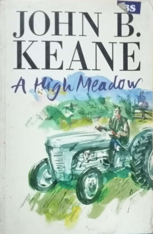 A High Meadow by John B. Keane
