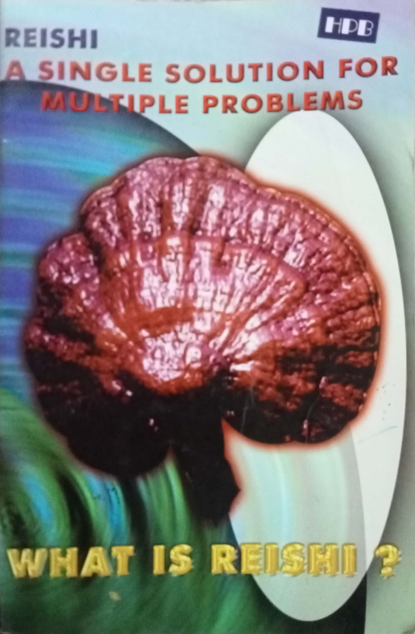 Reishi A Single Soution For Multiple Problens