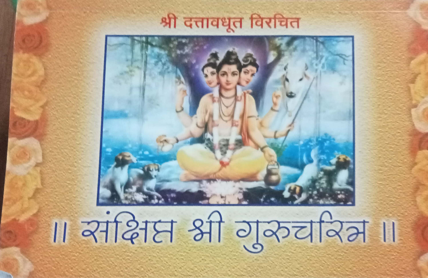 Sankshipta Shri Guru  Charitra