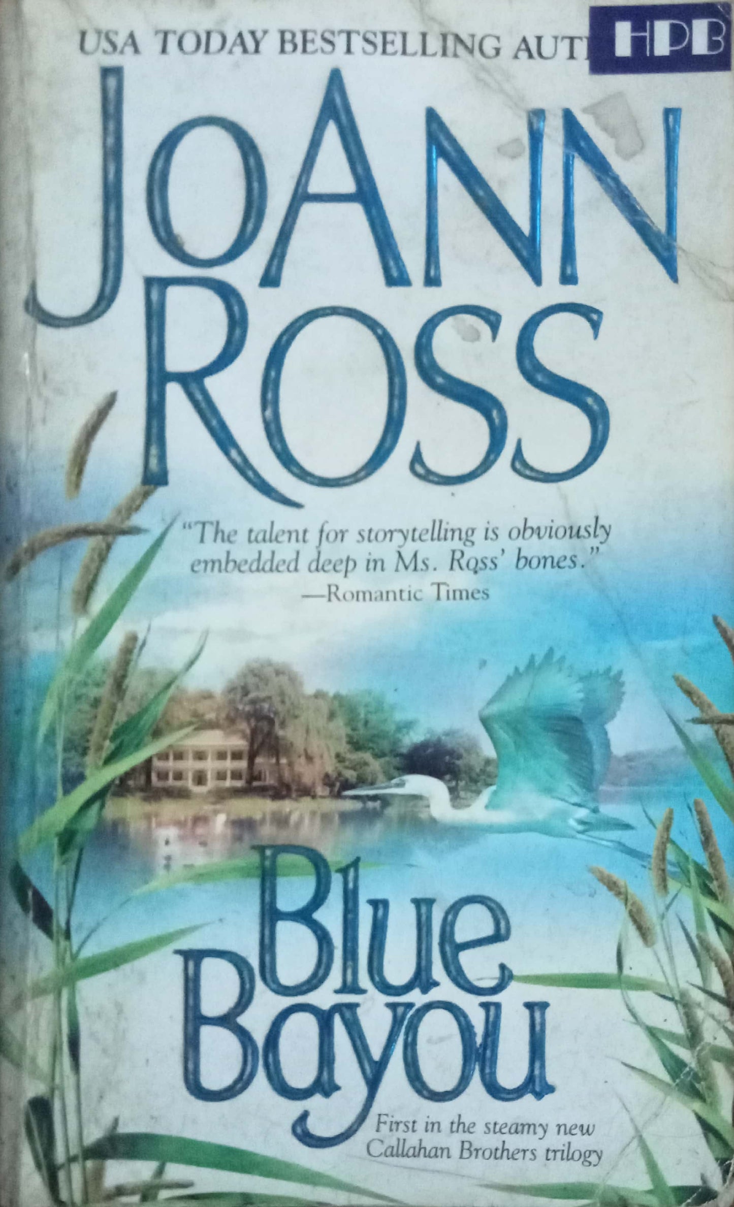 Blue Bayou by Joann Ross