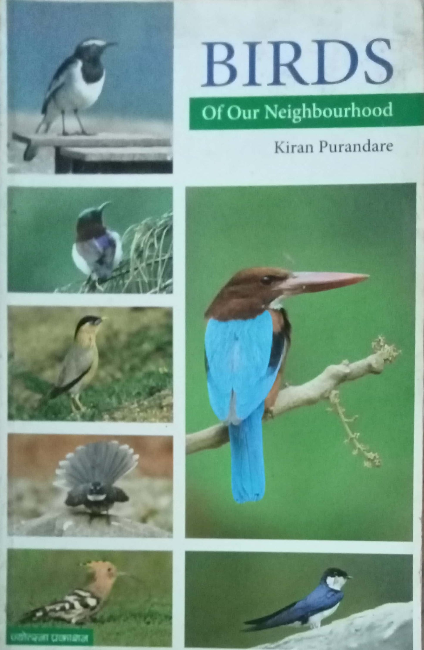 Birds by Kiran Purandare